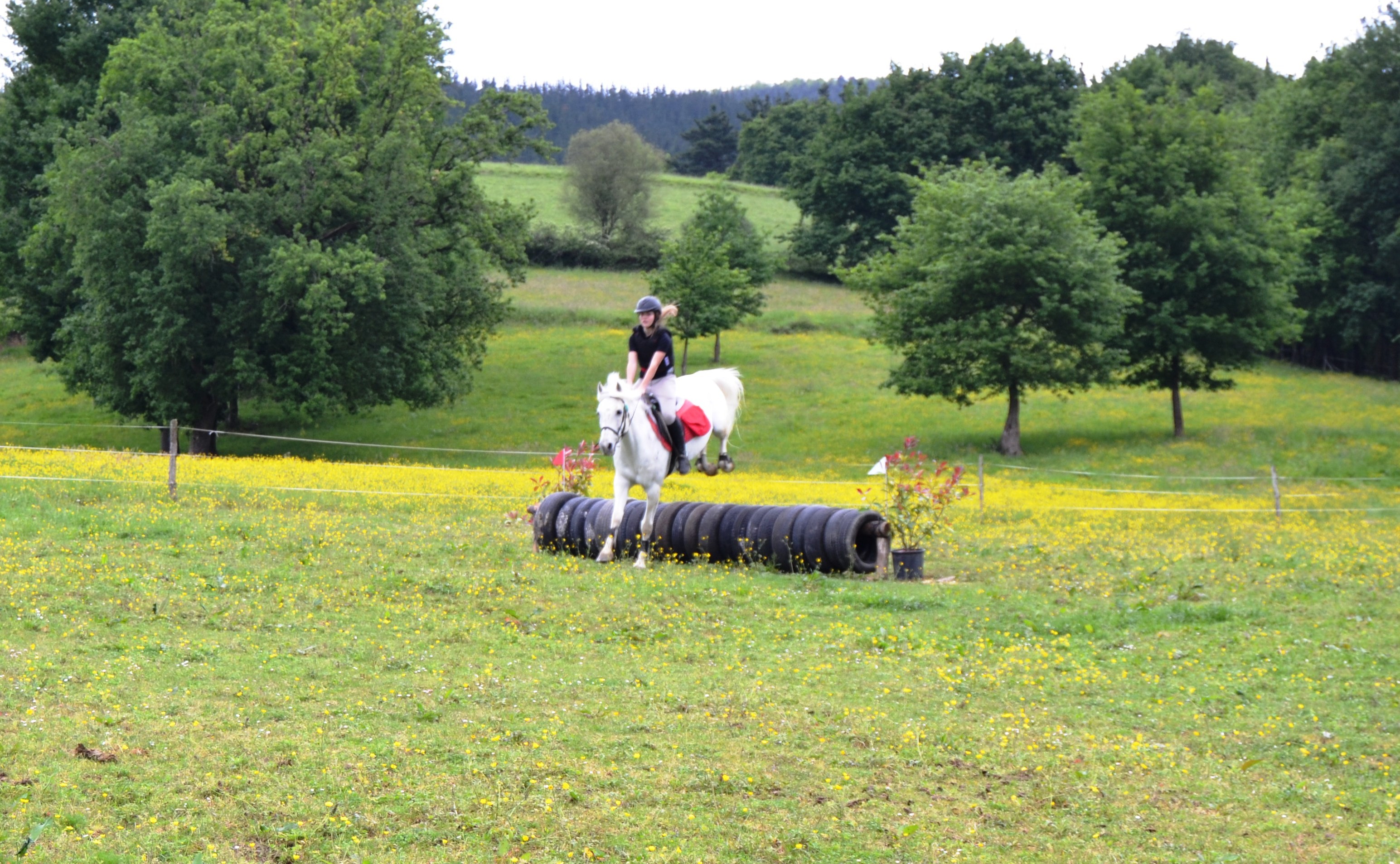 Éxito navarro en la primera fase de la liga Vasco- Navarra de TREC